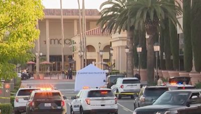 Tourist from New Zealand killed by a robbery getaway car fleeing upscale California mall