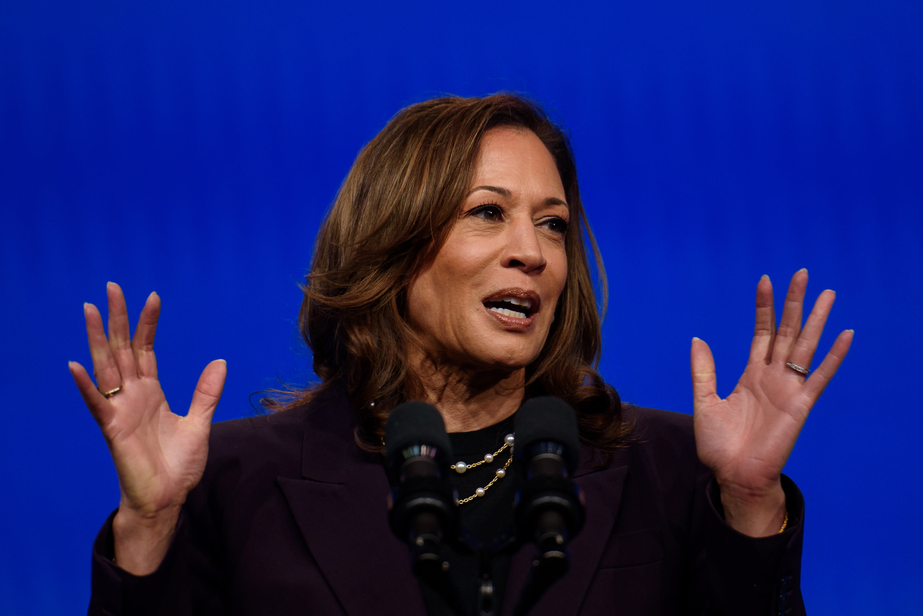 Harris embarks on sprint to find Democratic running mate