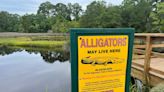 This is how to avoid being an alligator snack in SC and what to do if one gets its teeth in you