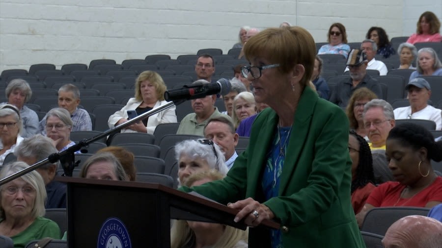 Georgetown County planning commission pushes plans forward on proposed county-wide development