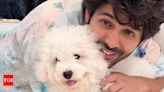 Kartik Aaryan misses His "Bowl of Love" pet Katori: video inside | Hindi Movie News - Times of India
