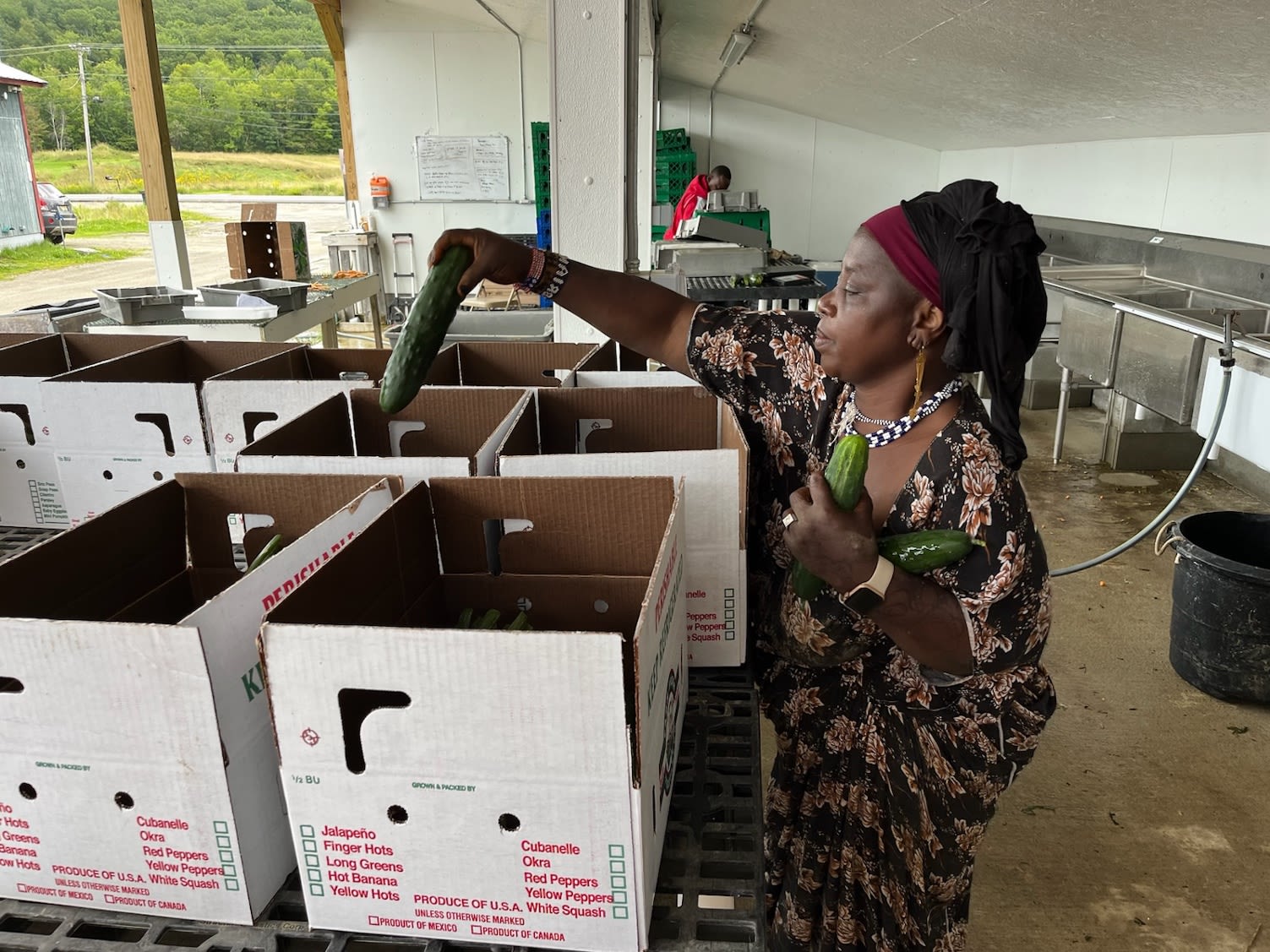 Maine Council on Aging awards nearly $376,000 in grants through Hannaford Supermarkets’ Connection, Health and Equity Through Food program to improve the well-being of older adults