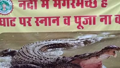 Crocodile Sighting At Sethani Ghat Prompts Security Measures In Narmadapuram - News18