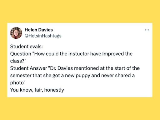 35 Of The Funniest Tweets About Cats And Dogs This Week (May 11-17)