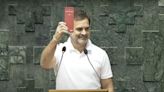 Rahul Gandhi chosen as Leader of Opposition in Lok Sabha