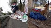 Joven convierte la basura electoral en camas para perros de la calle
