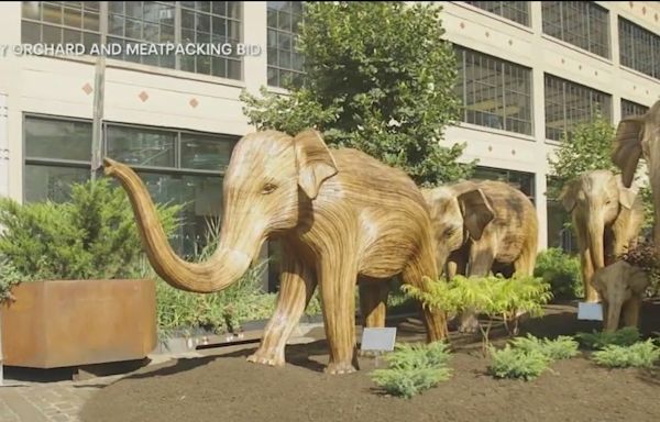 100 life-sized elephant sculptures migrate to NYC: Here's where to see them