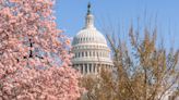 On this day in history, March 27, 1912, Washington, D.C., cherry trees planted, gift from people of Tokyo