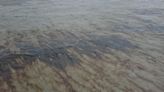 An oil spill in the Gulf of Mexico has grown to 1.1 million gallons