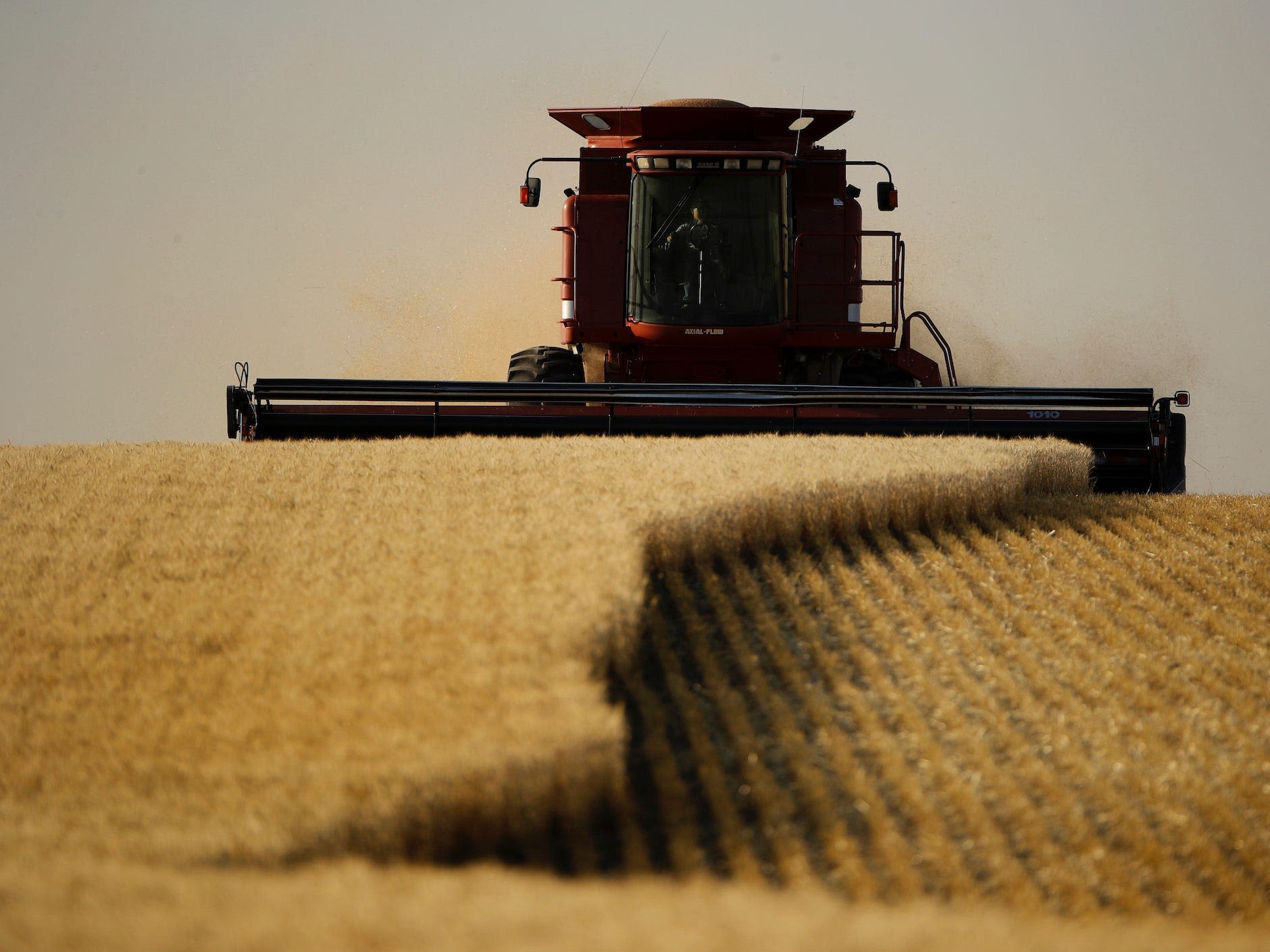 Wheat prices have surged to 8-month highs amid global conflict and extreme weather