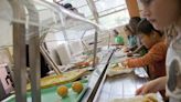 Study: Ohio School Breakfast, Lunch Participation Decreases as Pandemic Waivers Lapse