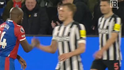 Resumen del Crystal Palace vs Newcastle, jornada 34 de la Premier League 23-24