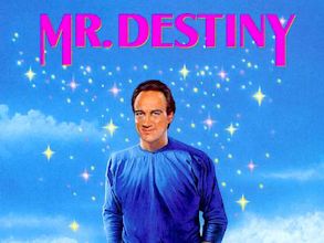 Mr. Destiny