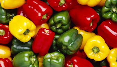 Bell Peppers Are Same Species No Matter What Color?