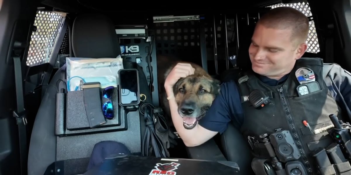 10-42: Mooresville K-9 completes final shift after 3 years of service, 300+ deployments