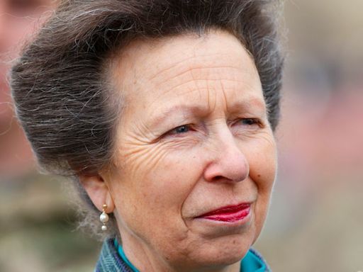 Princess Anne's Husband Gives An Update On Royal's Condition Amid Hospitalization