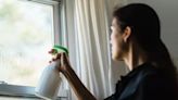 Cleaning with waste food item leaves windows 'free of streaks'