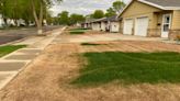 What are the most common lawn diseases and how can you treat them? Here's what to know