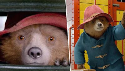 Paddington 4 is in the works alongside a TV show as part of the bear's bid to become a "worldwide cultural phenomenon"