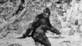 Who looks for 'Bigfoot?' Journalist John O'Connor wanted to find out