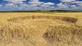 Video: First UK Crop Circle of 2024 Found | iHeart