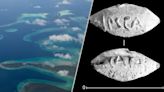 5 stories making science news this week: A Pacific 'superstructure' and an ancient Roman bullet