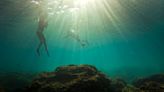 Israel rushes to protect marine life as Mediterranean warms