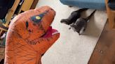 Otters Are Not a Fan of Those Infamous T. Rex Costumes