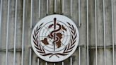 Fungal infection list launched by WHO flags global health threat