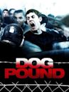 Dog Pound (film)