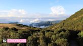 El arte conecta en vivo a los bosques de Ecuador con dos ciudades de Suiza y Alemania