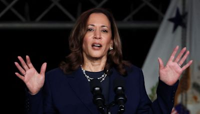 'Divisiveness and disrespect': Kamala Harris responds to Trump's attacks about her racial identity