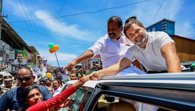 News18 Mega Exit Poll: Rahul Gandhi To Retain Wayanad Seat? Here’s What Predictions Say - News18