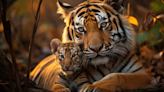 7 Animal Mothers Who Teach Us Great Parenting Lessons