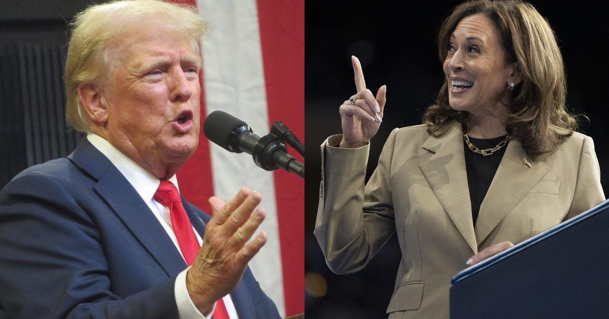 What are voters saying about Donald Trump and Kamala Harris? Expert looks beyond the polls