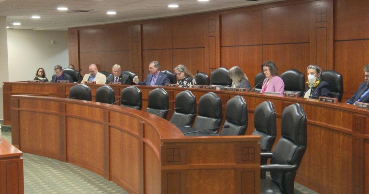 House Criminal Justice Committee holds hearing on Messiah's Law