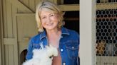 Martha Stewart, Marquee Brands Launch Fashion Collection