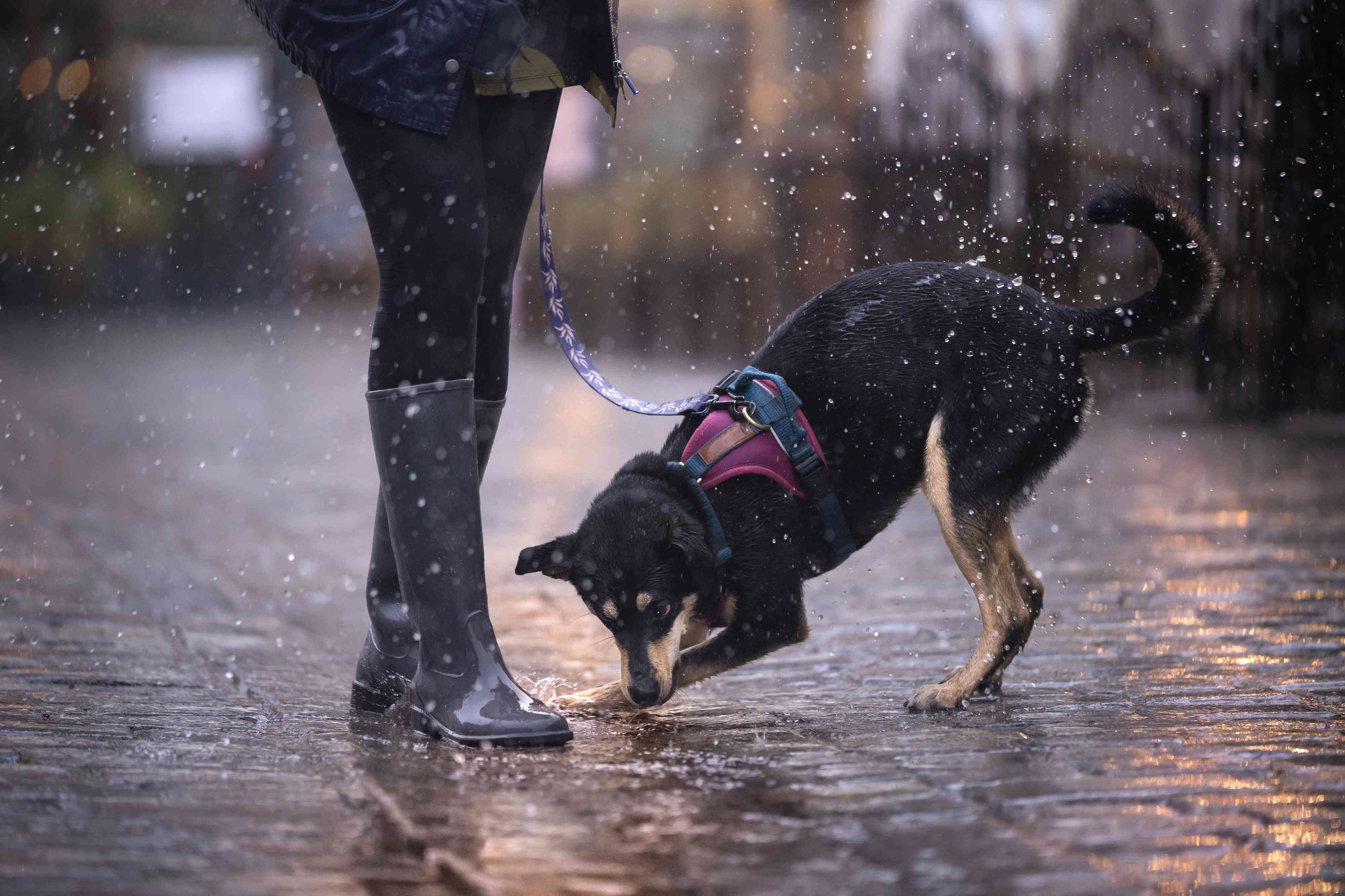 4 Health Benefits of Walking in the Rain, According to Experts