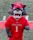 Wolfie the Seawolf