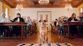 Estrela canina de 'Dog on Trial' ganha prêmio em Cannes; veja cães que já receberam o Palm Dog