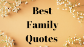 101 Family Quotes To Show the Ones You Love That You Care