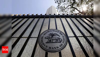 Money in digital accounts pose higher flight risk, says RBI - Times of India