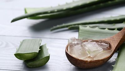 Cuatro maneras de preparar la sábila o aloe vera para quitar arrugas y manchas de tu rostro