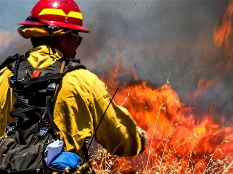 Vegetation fires near King City extinguished