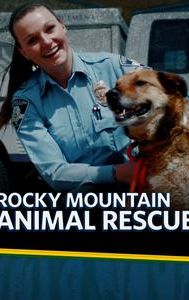 Rocky Mountain Animal Rescue