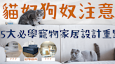 【Pet-Friendly家居設計】貓奴狗奴注意！5大必知寵物家居設計重點！