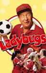 Ladybugs (film)