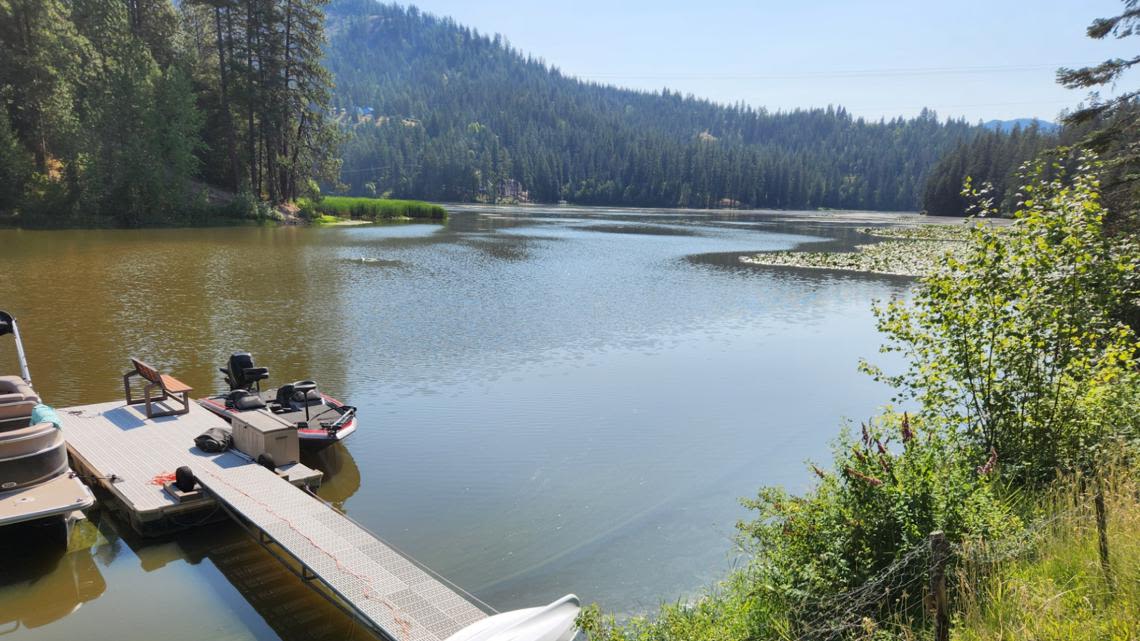 Toxic algae present in Hayden Lake, say Idaho health officials