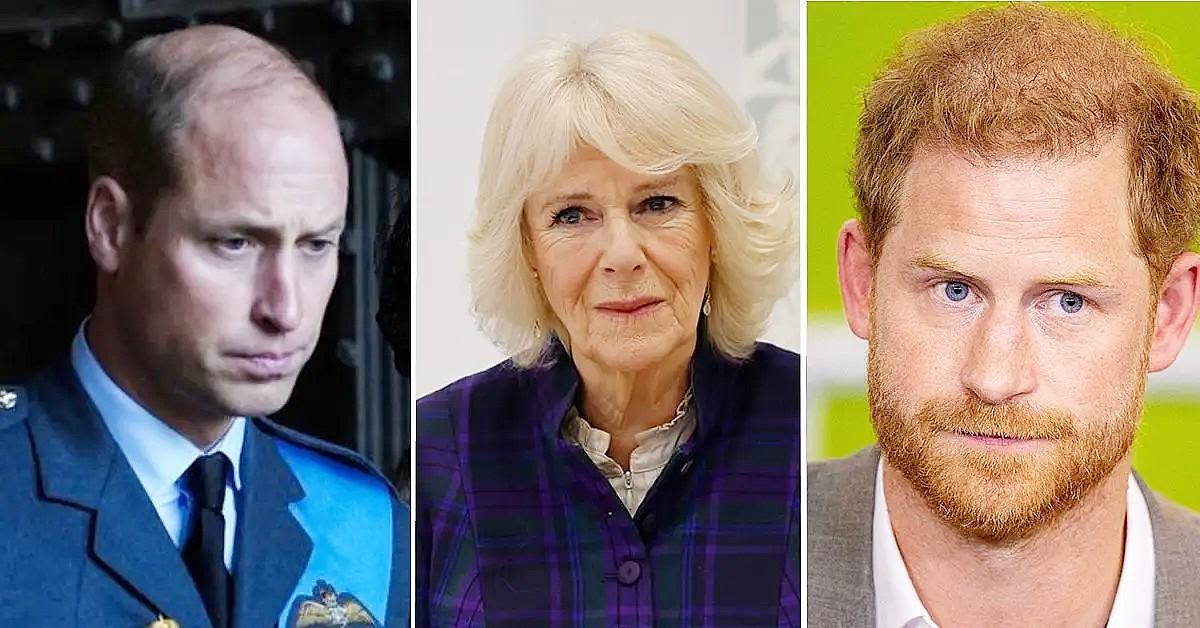 Prince William and Queen Camilla Shutting Out Prince Harry: 'He’s Out of the Fold and Exiled'