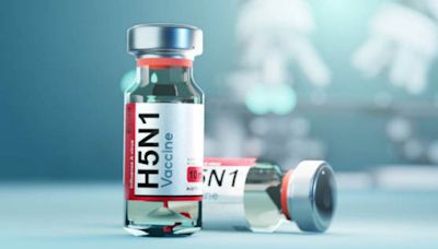 OMS anuncia desarrollo de vacunas experimentales contra gripe H5N1 | El Universal